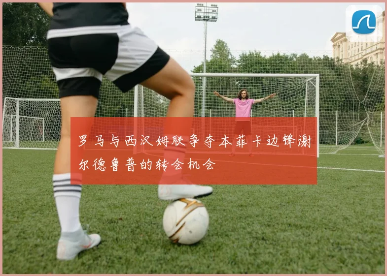 罗马与西汉姆联争夺本菲卡边锋谢尔德鲁普的转会机会