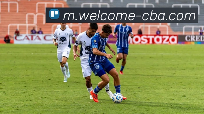 平台展示图